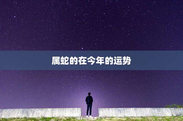 属蛇的在今年的运势