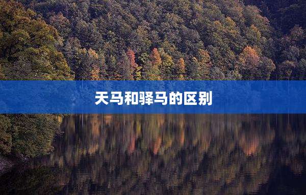 天马和驿马的区别