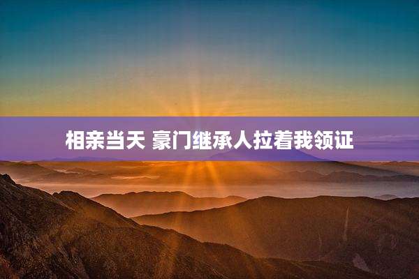 相亲当天 豪门继承人拉着我领证