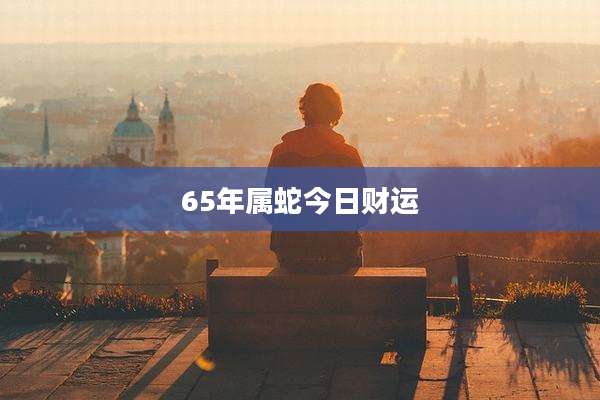65年属蛇今日财运