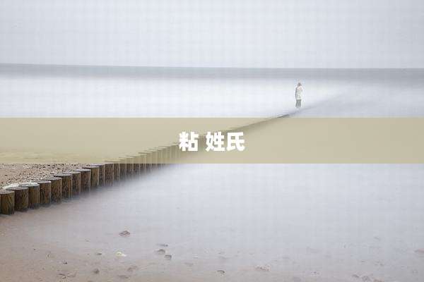 粘 姓氏