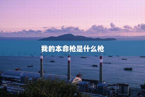 我的本命枪是什么枪