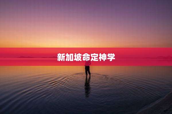 新加坡命定神学