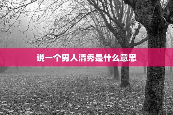 说一个男人清秀是什么意思