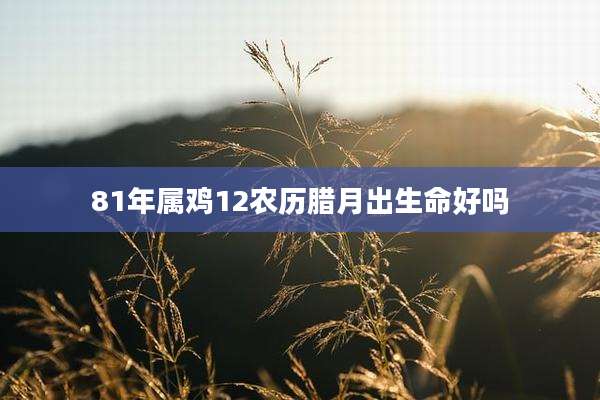 81年属鸡12农历腊月出生命好吗