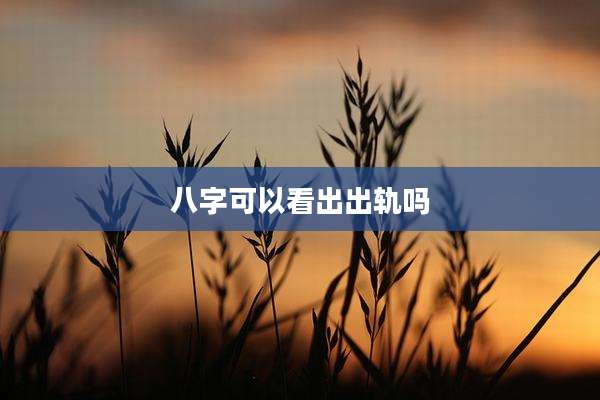 八字可以看出出轨吗