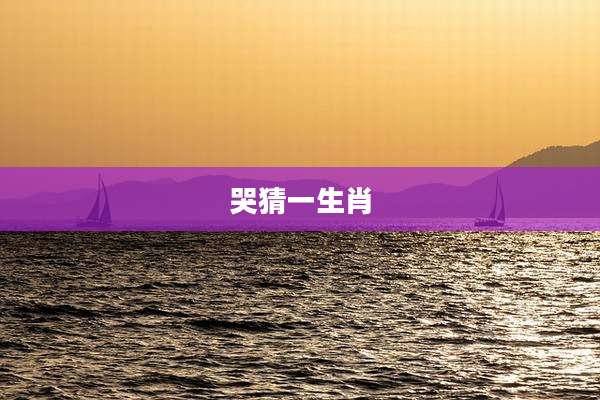 哭猜一生肖