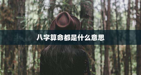 八字算命都是什么意思