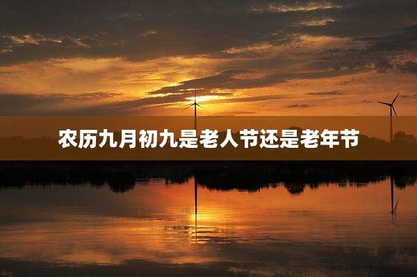 农历九月初九是老人节还是老年节