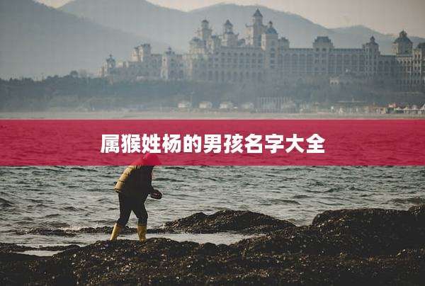 属猴姓杨的男孩名字大全