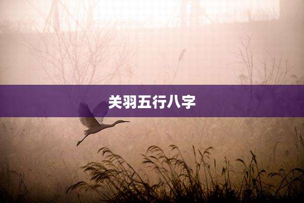 关羽五行八字