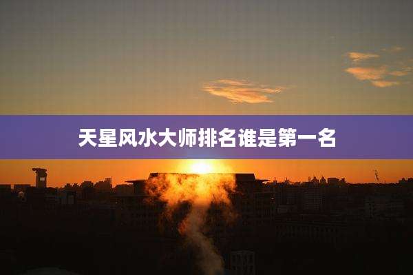 天星风水大师排名谁是第一名