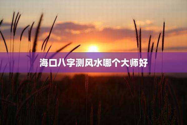海口八字测风水哪个大师好