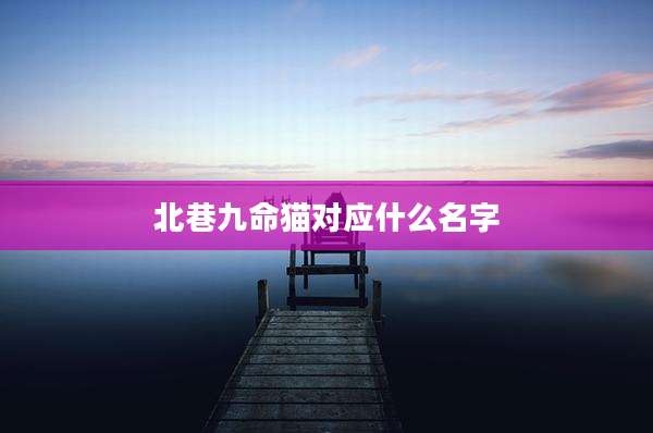 北巷九命猫对应什么名字