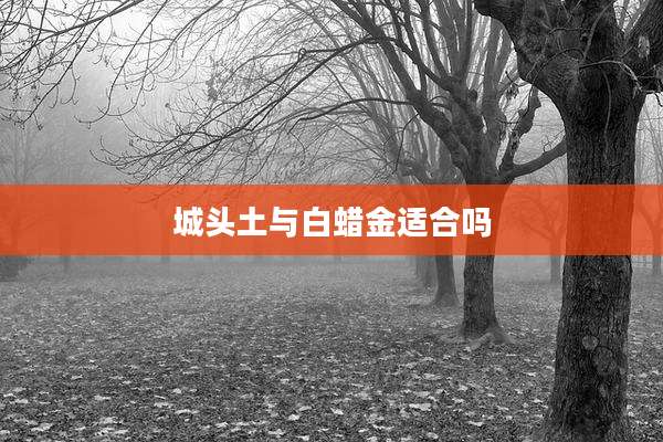 城头土与白蜡金适合吗