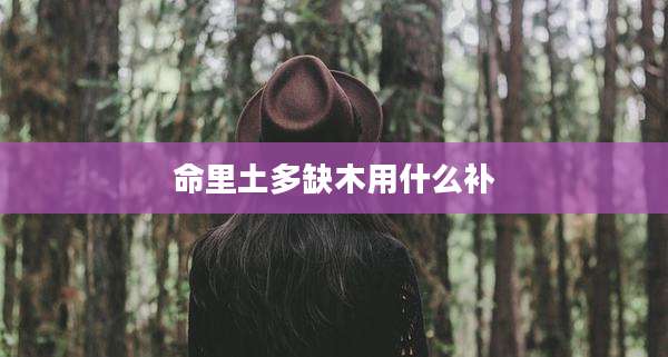 命里土多缺木用什么补