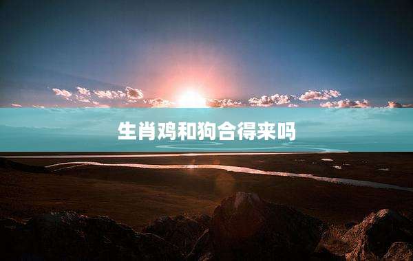 生肖鸡和狗合得来吗