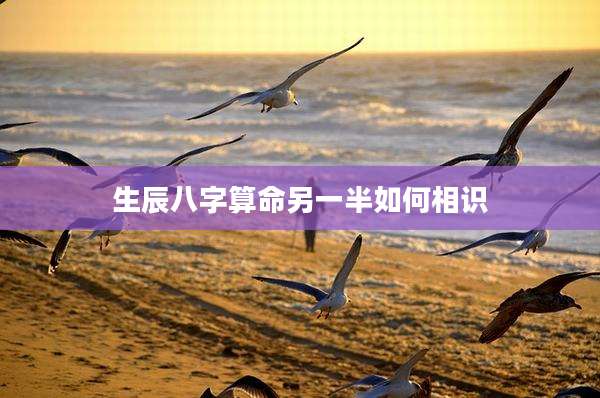 生辰八字算命另一半如何相识