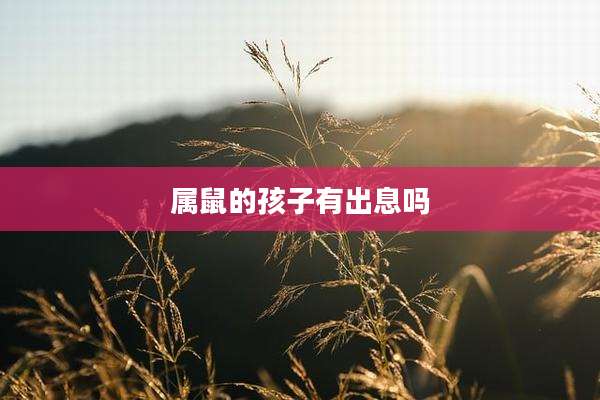 属鼠的孩子有出息吗