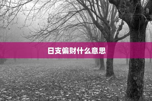 日支偏财什么意思