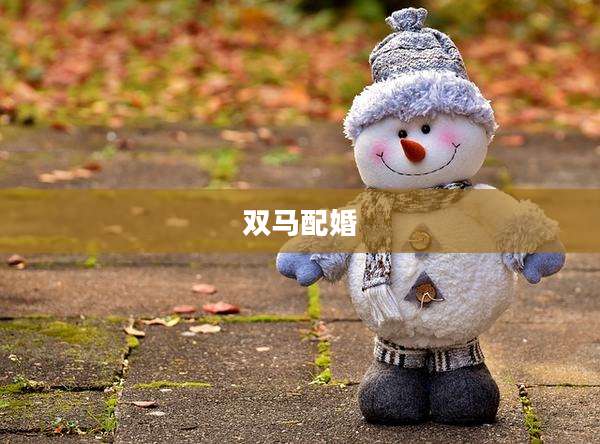 双马配婚