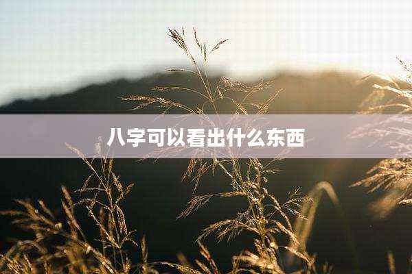 八字可以看出什么东西