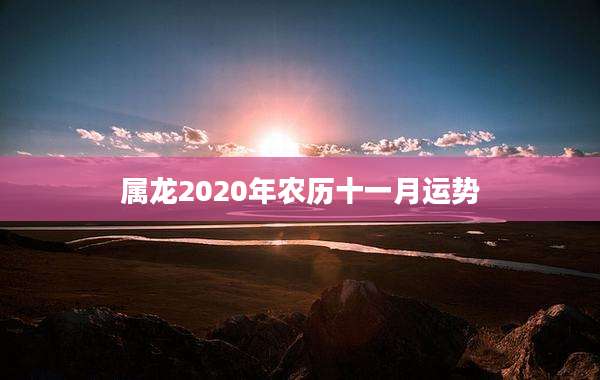 属龙2020年农历十一月运势