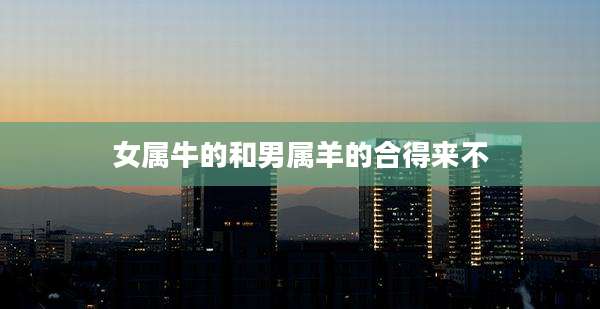 女属牛的和男属羊的合得来不