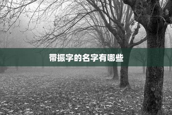 带振字的名字有哪些