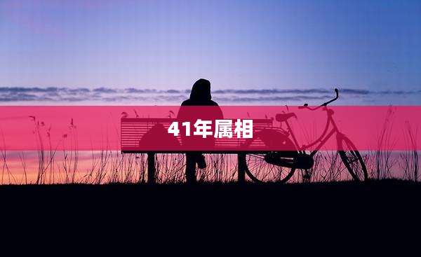41年属相