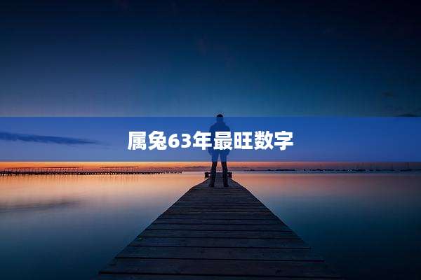 属兔63年最旺数字