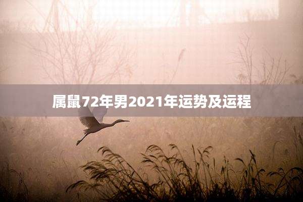 属鼠72年男2021年运势及运程