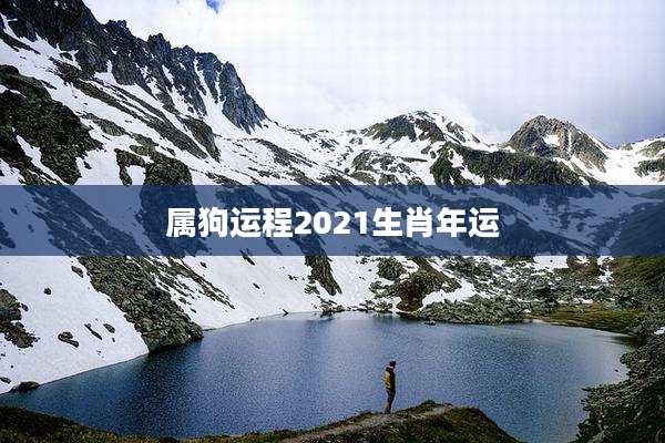 属狗运程2021生肖年运
