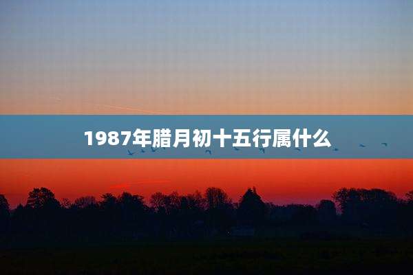 1987年腊月初十五行属什么