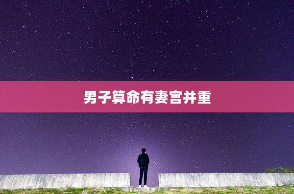 男子算命有妻宫并重