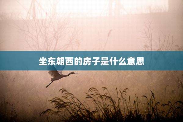 坐东朝西的房子是什么意思