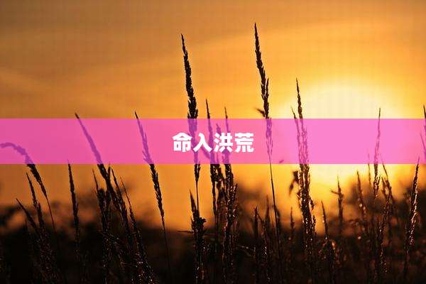 命入洪荒