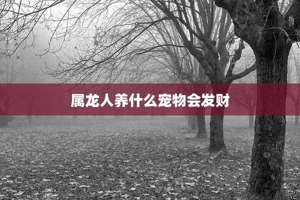 属龙人养什么宠物会发财