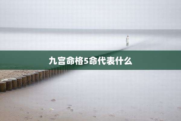 九宫命格5命代表什么
