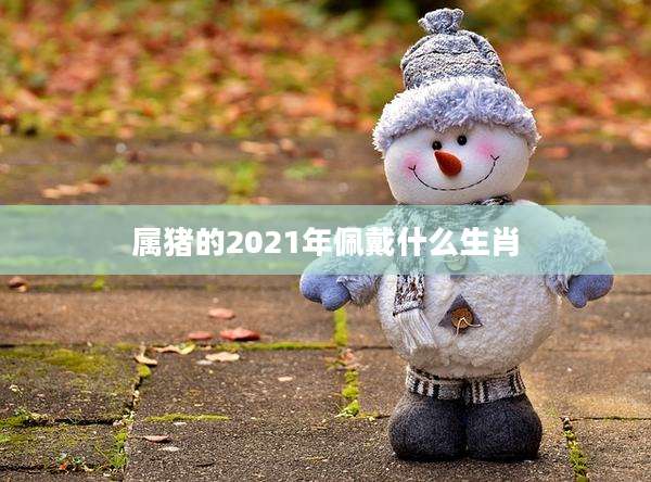 属猪的2021年佩戴什么生肖