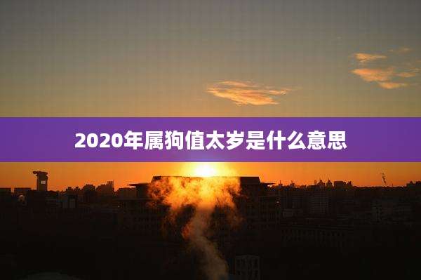 2020年属狗值太岁是什么意思