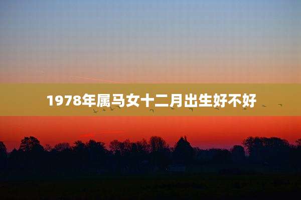 1978年属马女十二月出生好不好