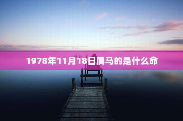 1978年11月18日属马的是什么命