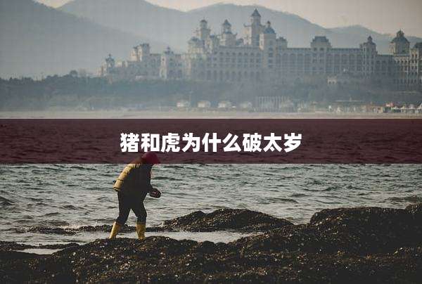 猪和虎为什么破太岁
