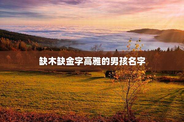 缺木缺金字高雅的男孩名字