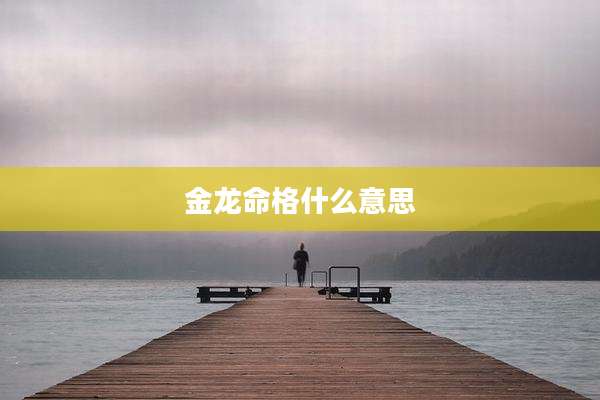 金龙命格什么意思