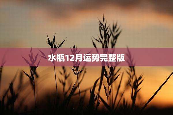 水瓶12月运势完整版