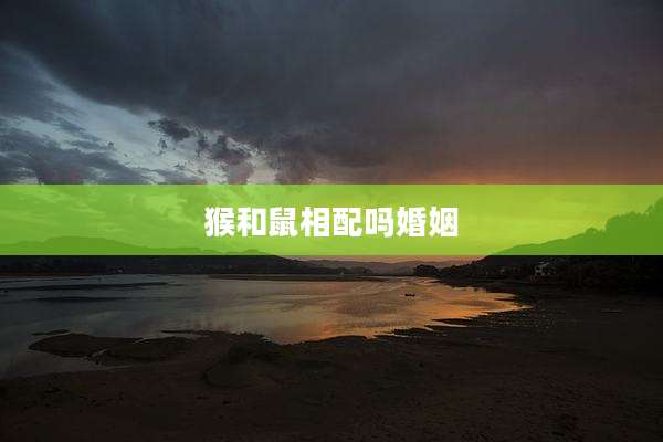 猴和鼠相配吗婚姻
