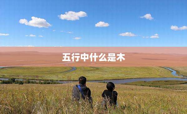 五行中什么是木