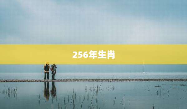 256年生肖
